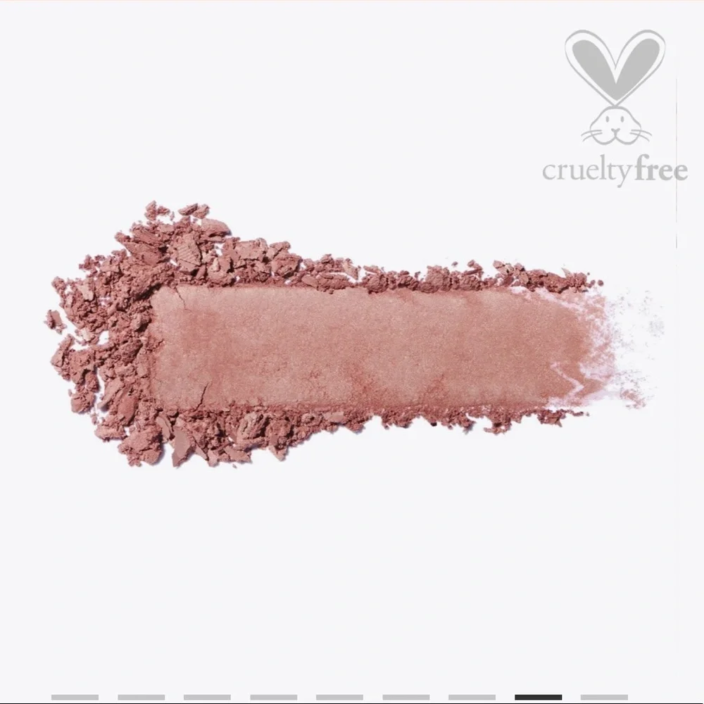 🌺 ICONIC LONDON BLAZE CHASER FACE PALETTE